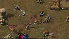 ���ֵܣ�������